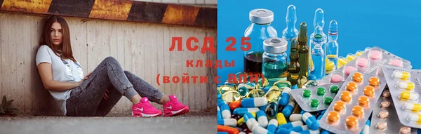 скорость Козловка
