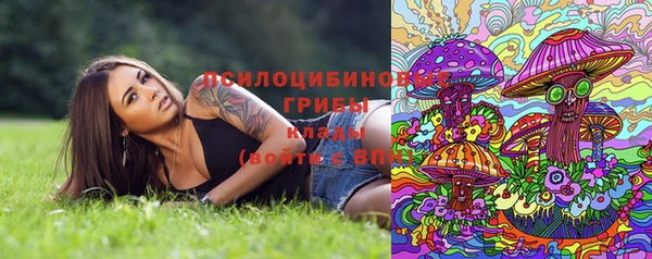 молекула духа Кодинск