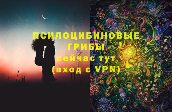 скорость Козловка