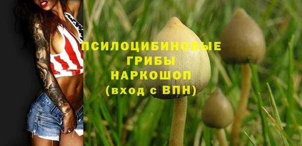 метадон Козельск
