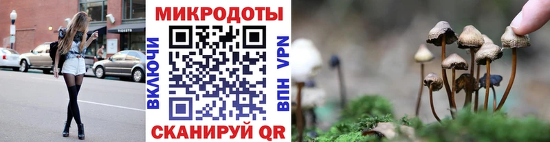 Псилоцибиновые грибы Psilocybe  Купить где  Донской 